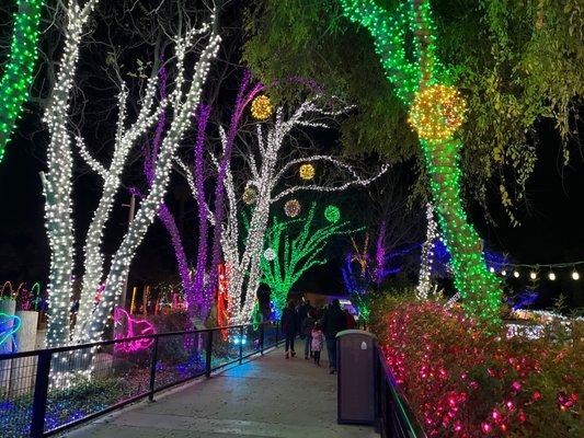 Zoo Lights