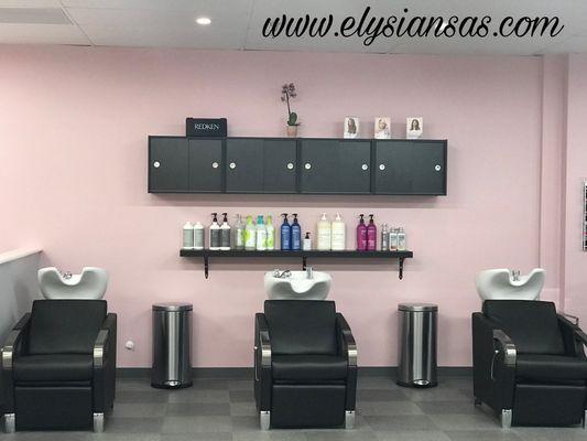 Salon Shampoo & Back Bar at Elysian Salon and Spa Lenexa, KS