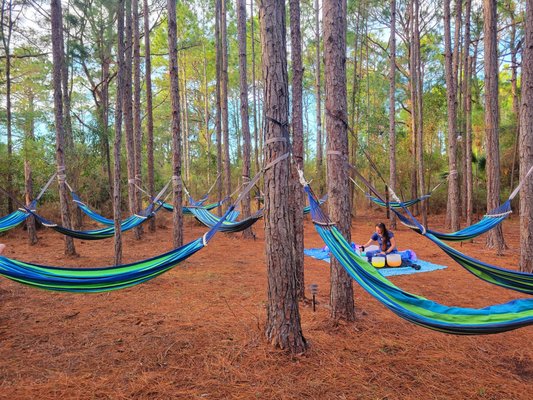 Meditation & sound bath in pine forest hammocks