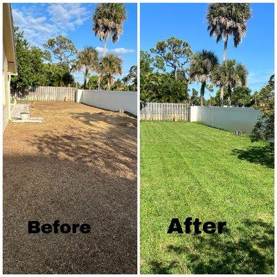 Sod removal and installation