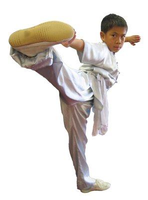 California Wushu Academy