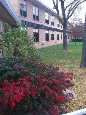 The fall season and the north wing of the building looking from the entrance.