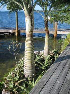 sea wall and dock