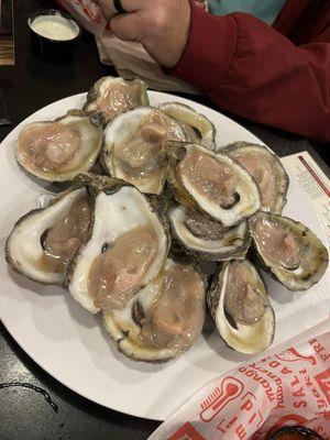 Oysters