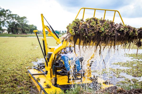 Eco-Friendly Aquatic Vegetation Removal