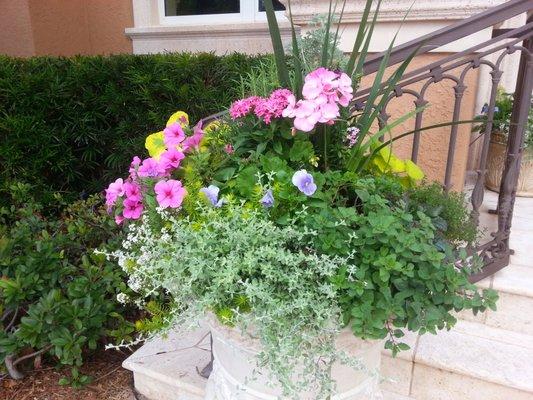 Flower Pots and Beautiful Lawns