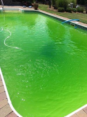 Yuck! This is what happens if a pool is neglected for 1 week in the summer. Call us and we can get it crystal clear again!