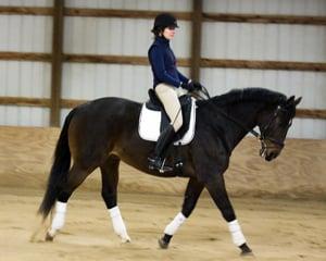 Elegance Dressage