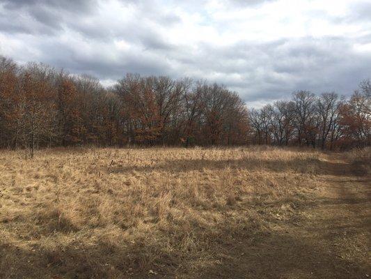 Anoka Ramsey Community College's Park.