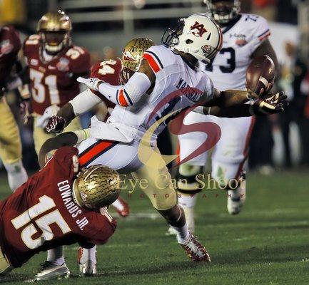 2013 - FSU - National Championship Sack - Copyright - Damon Herota