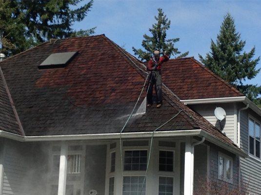 Roof Cleaning