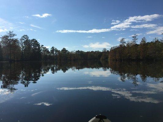 Marsh/Pond/Lake at HER Retreat