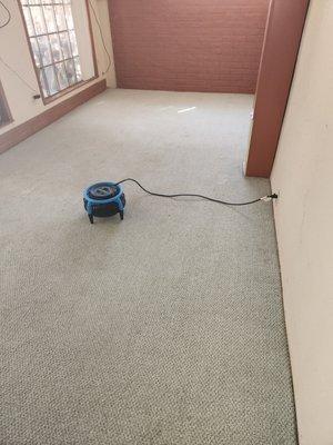 Aladdin Carpet Cleaning & Restoration