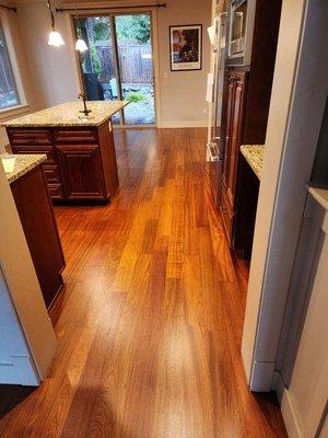 Brazilian Cherry refinish, Kirkland, WA.