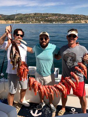 Rockfish Limits