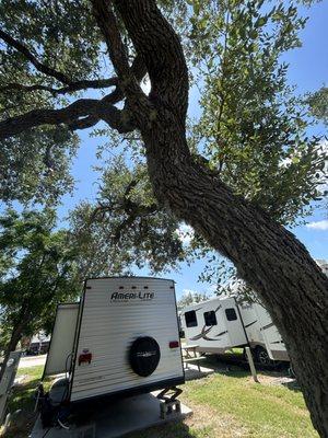 come stay in the shade with plenty of mature oak trees