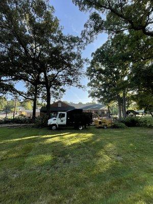 Give us a call for any tree trimming or removal!!!