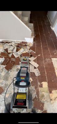 Floor demo