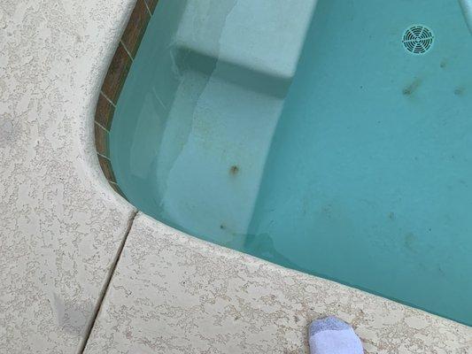 More crap that stained my pool