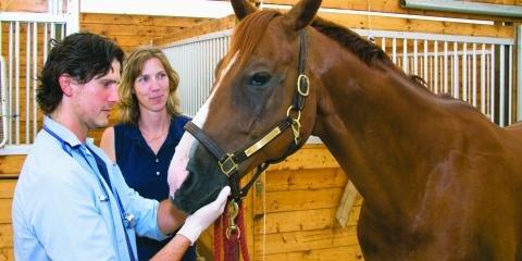 Middlefield Veterinary Clinic