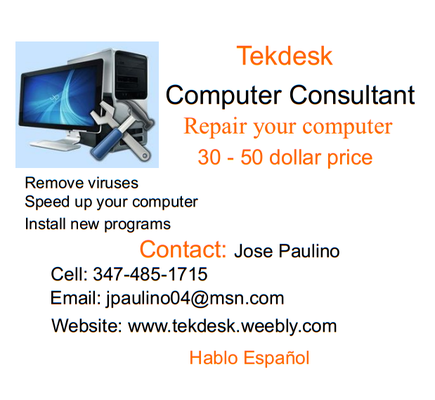 Computer Repair Consultant