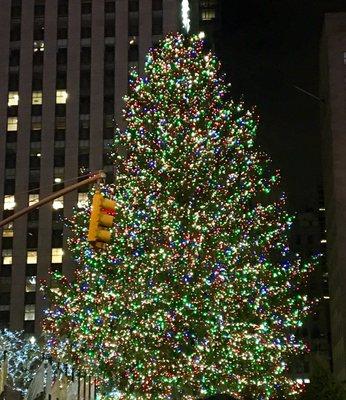 The tree at Rockefeller Plaza was amazing to behold  in person!