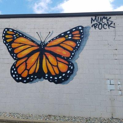 Metamorphosis by Jules MuckRock Muck 2019