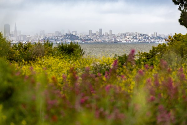 Albany State Marine Reserve