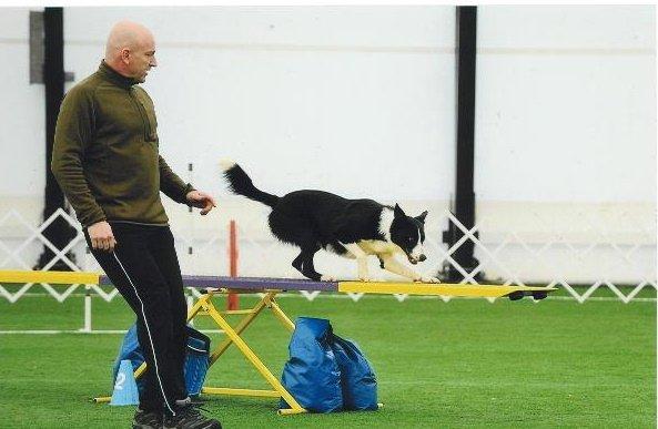 Agility Training and Trials-please join us!