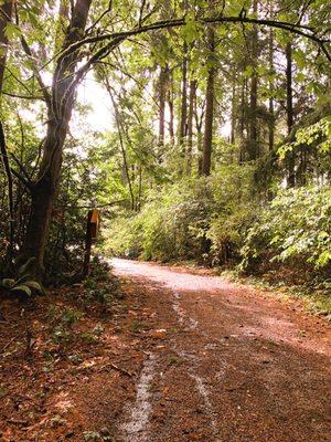 Beginnings of Fall 2023 on the Priory trails