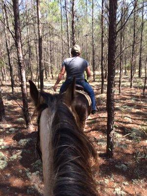 Trail Rides Daily