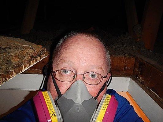 What it looks like as I get into the attic. #snohomishrealestate#snohomishrealestate#snohomishhomeinspector#snohomishhomeinspections