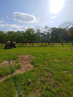 Beautiful areas to visit the horses