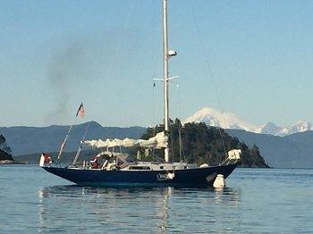 Boat Cleaning