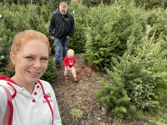 Tree hunting with the fam