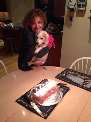 Zoe and her specialty cake from Cyndi and The Spotted Dog Barkery several years ago.