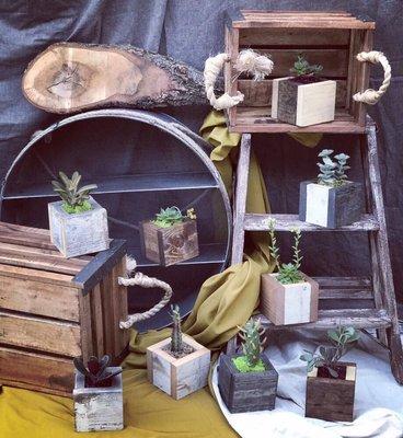 Locally handmade/homemade cubed wooden vintage planters with cacti and/or succulents.