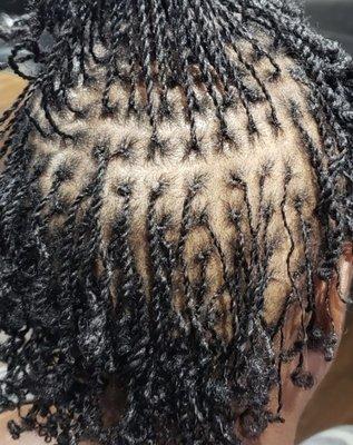 Microlocs started with two strand twists