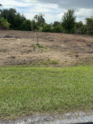 Two cleared lots in Punta Gorda