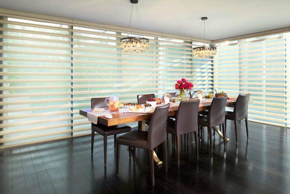 Hunter Douglas Pirouettes