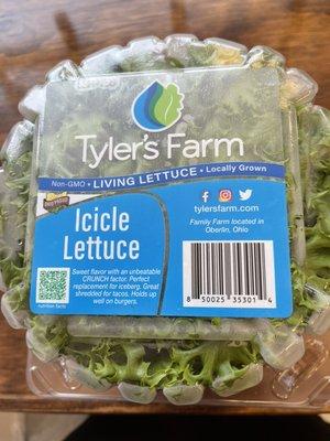 Fresh Living Lettuce