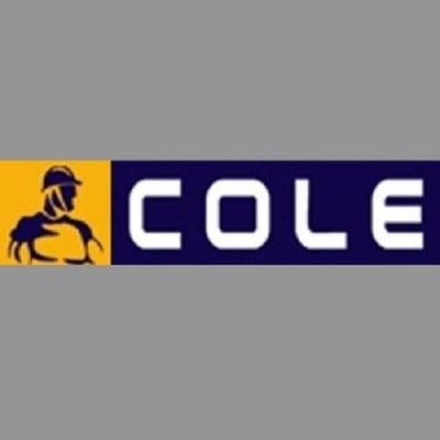 Cole Construction Services