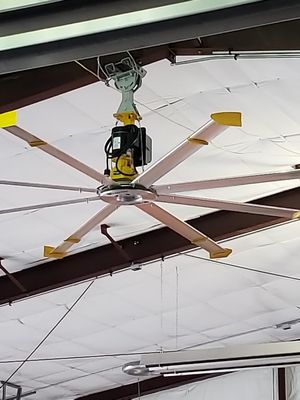 This fan has a 14' wing span. Hold on to your hat!