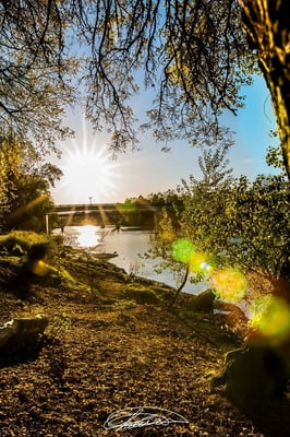 Rogue River, Grants Pass
  by Chance Reid Photography