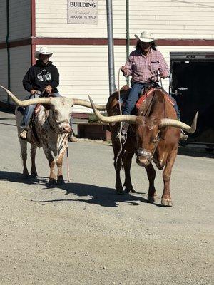 Coos County Fair