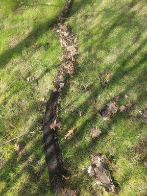 Gutter Debris Left on Lawn