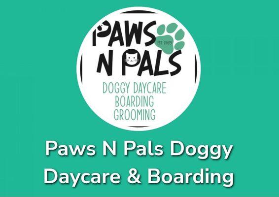 Doggy daycare and boarding