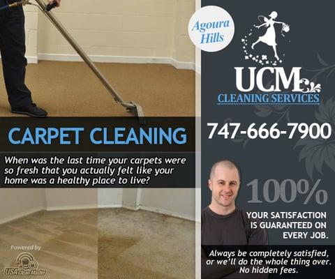 Carpet Cleaning