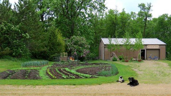 The garden outside the Pomme de Terre Studio.... and friends.