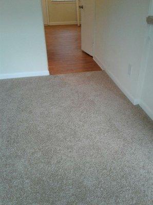 Carpet and vinyl